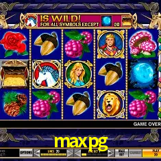 Comunidade ativa e interação